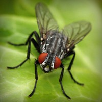 /album/ildiko-oldala/photolia-a01-jpg/