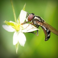 /album/ildiko-oldala/photolia-a02-jpg/