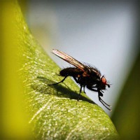 /album/ildiko-oldala/photolia-a04-jpg/