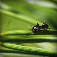 /album/ildiko-oldala/photolia-a05-jpg/