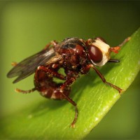 /album/ildiko-oldala/photolia-a06-jpg/