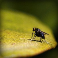 /album/ildiko-oldala/photolia-a07-jpg/