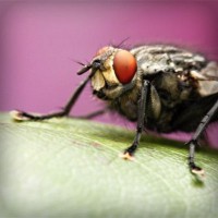 /album/ildiko-oldala/photolia-a08-jpg/